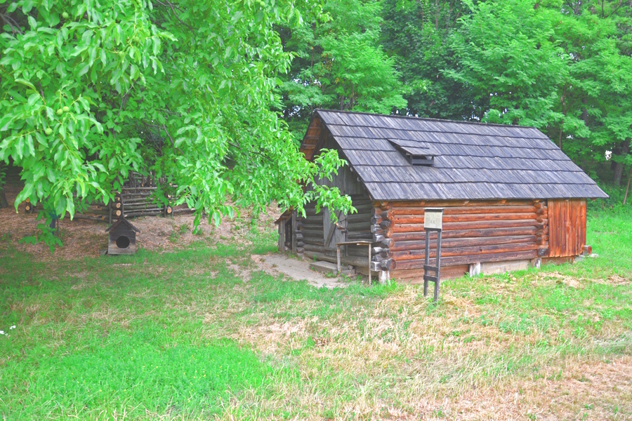 ПОЛОНИНСЬКА СТАЯ